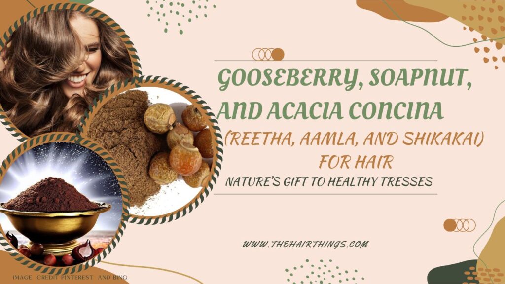 Gooseberry, Soapnut an, Acacia Concina(Reetha, Aamla, Shikakai) for Hair: Nature’s Gift to Healthy Tresses
