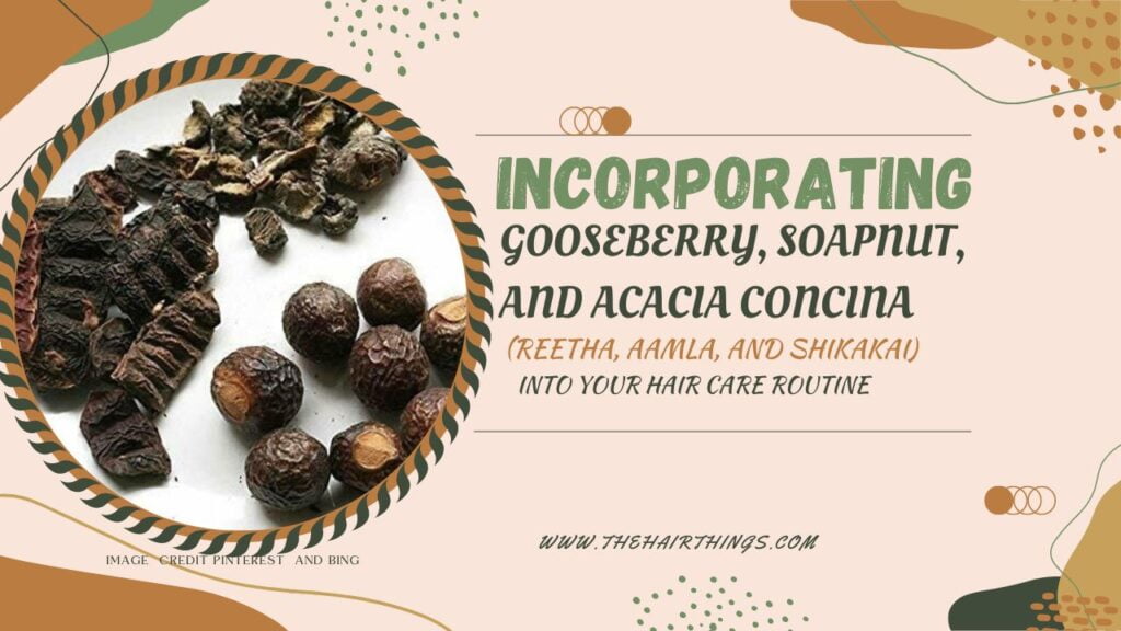 Incorporating Gooseberry, Soapnut, and Acacia Concina (Reetha, Aamla, and Shikakai) into Your Hair Care Routine