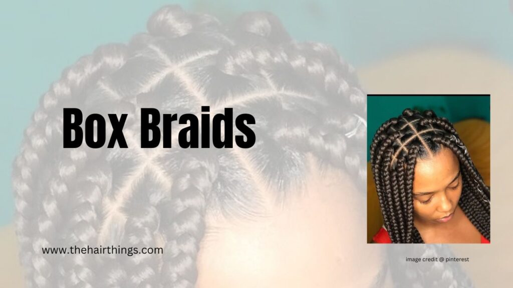 Box Braids